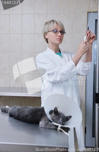 Image of Female veterinary