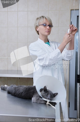 Image of Female veterinary