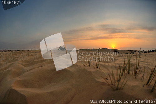 Image of beautiful sunset in desert