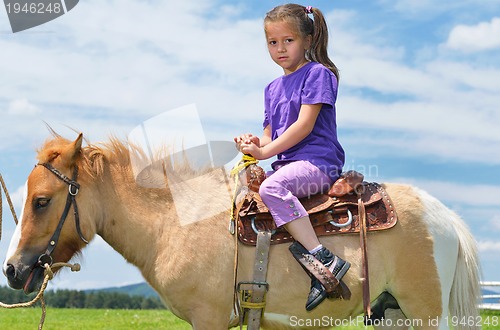 Image of child ride pony