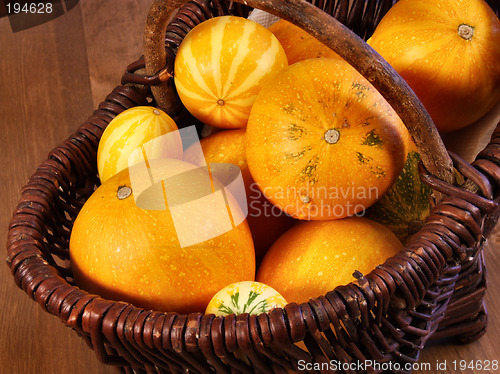 Image of Mini pumpkins in a basket