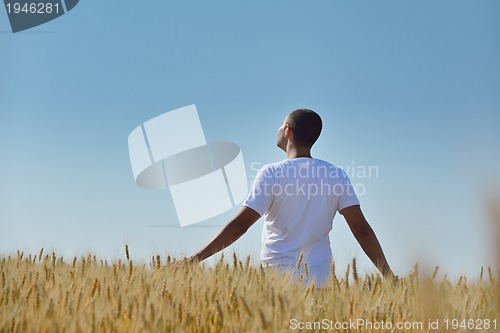 Image of man in wheat field