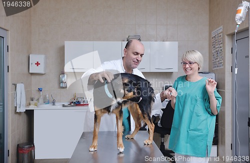 Image of veterinarian and assistant in a small animal clinic