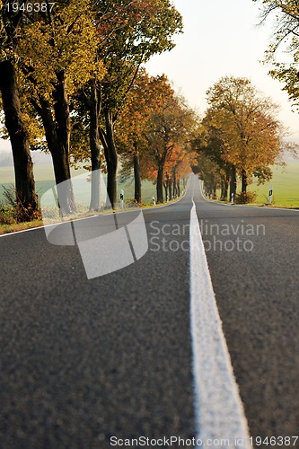 Image of country road