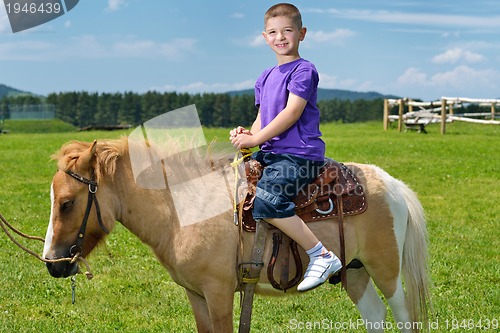 Image of child ride pony