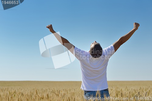 Image of man in wheat field