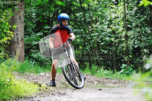 Image of mountain bike