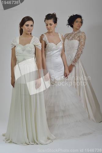 Image of portrait of a three beautiful woman in wedding dress