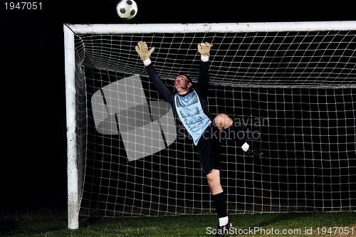 Image of goalkeeper