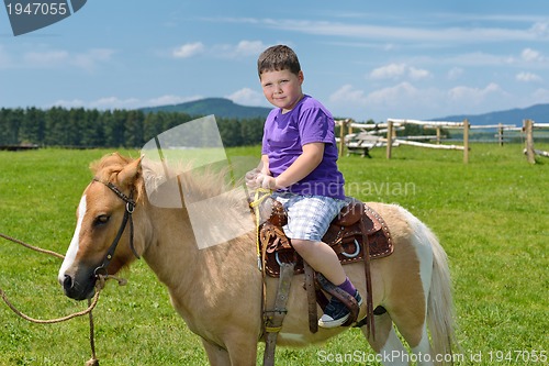 Image of child ride pony