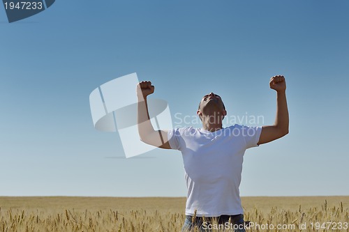 Image of man in wheat field