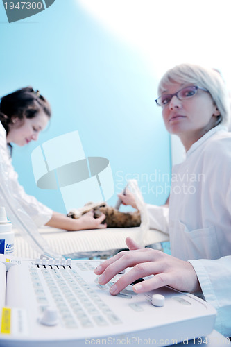 Image of veterinarian and assistant in a small animal clinic