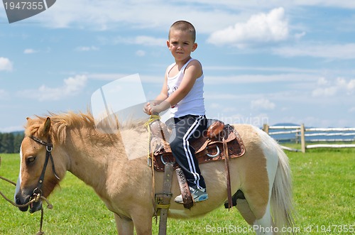 Image of child ride pony