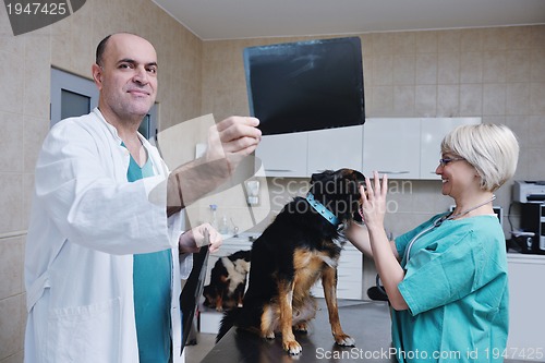 Image of veterinarian and assistant in a small animal clinic