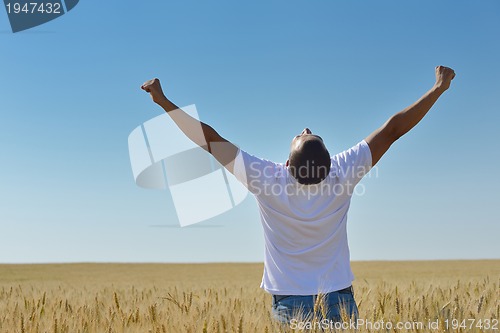 Image of man in wheat field