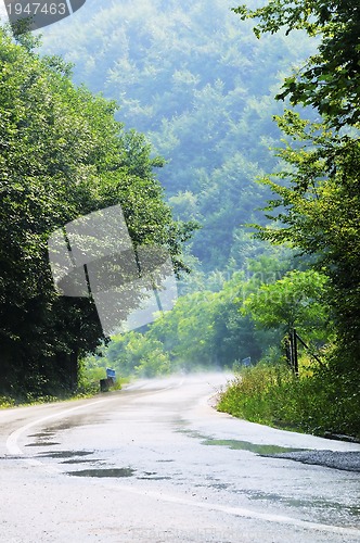 Image of country side road in green forest