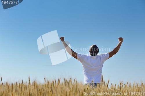 Image of man in wheat field