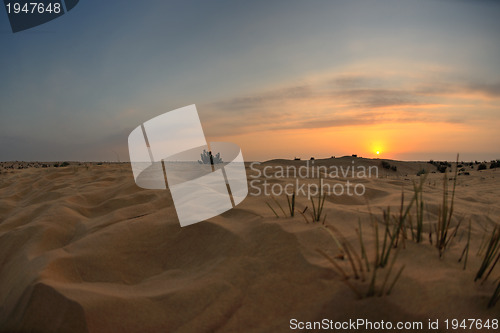 Image of beautiful sunset in desert