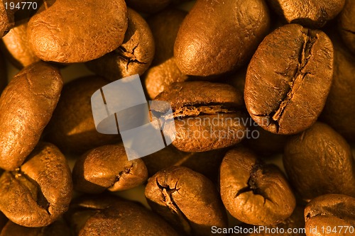 Image of Coffee beans