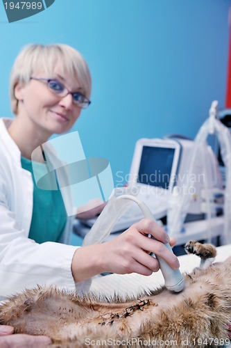 Image of Female veterinary