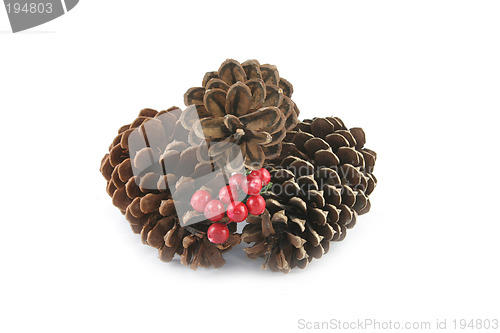 Image of Pine cones and berries