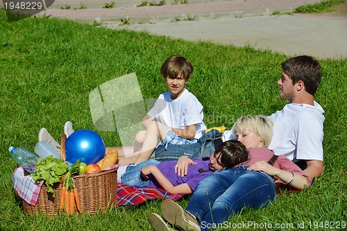 Image of Happy family playing together in a picnic outdoors