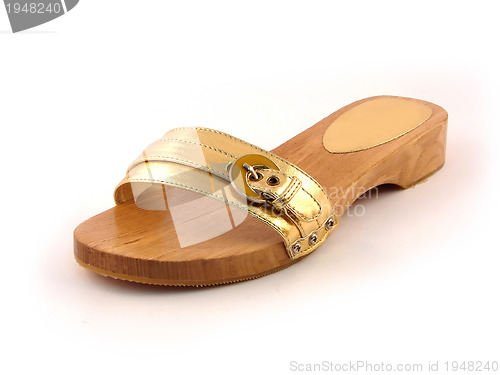 Image of woman shoe isolated