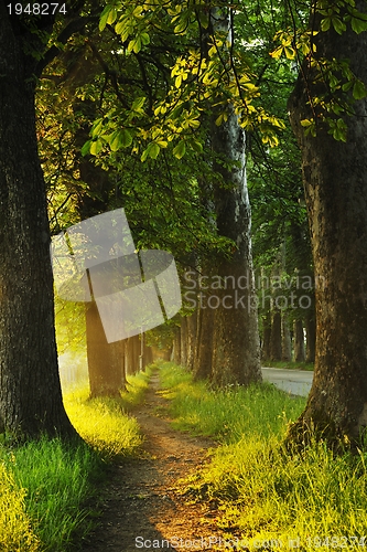 Image of sunrise in beautiful alley