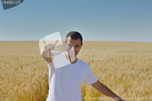 Image of man in wheat field