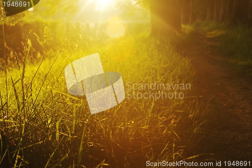 Image of sunrise in beautiful alley