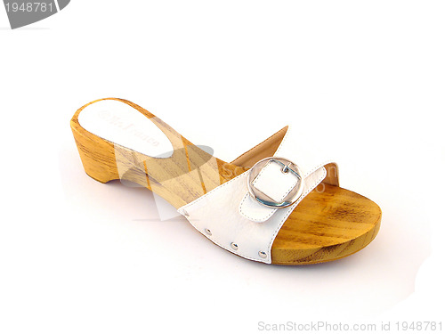 Image of woman shoe isolated