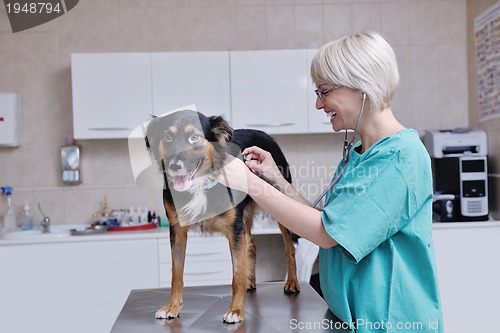 Image of veterinarian and assistant in a small animal clinic