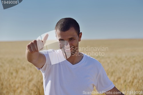 Image of man in wheat field