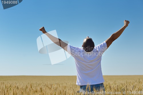 Image of man in wheat field