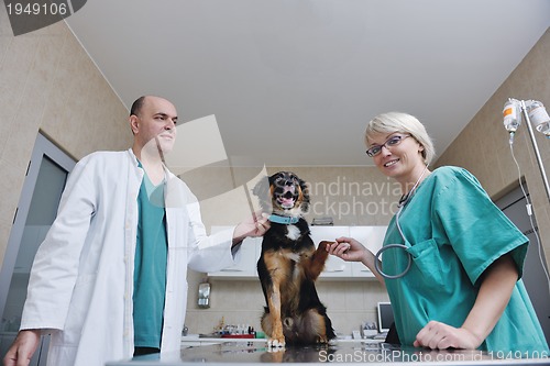 Image of veterinarian and assistant in a small animal clinic