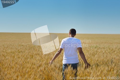 Image of man in wheat field