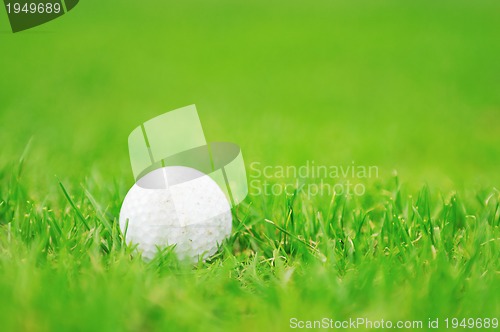 Image of golf ball game