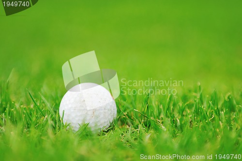 Image of golf ball 