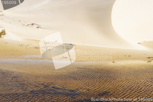 Image of Dunes #1