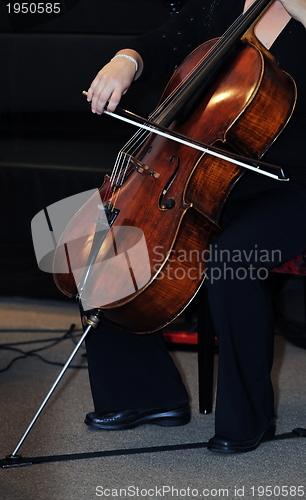 Image of classical music bass instrument player