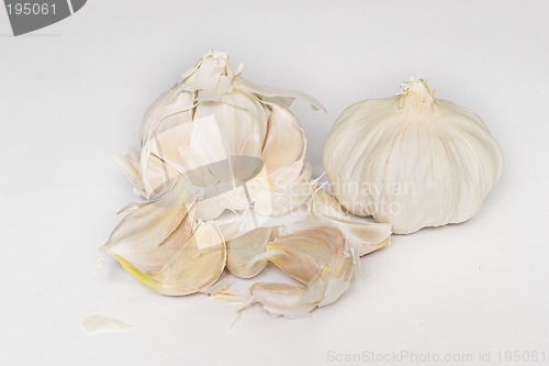 Image of Garlic #2