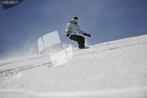 Image of snowboard woman