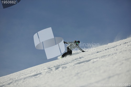 Image of snowboard woman