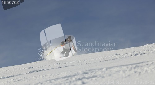 Image of skier free ride 