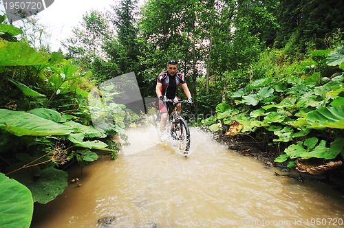 Image of wet mount bike ride