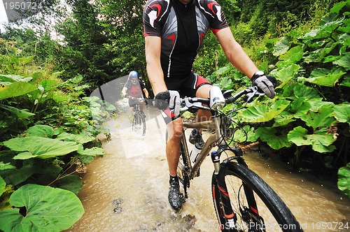 Image of wet mount bike ride