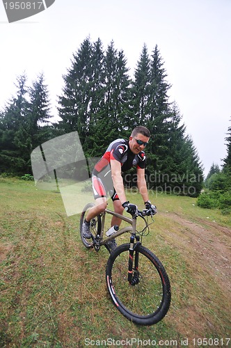 Image of mountain bike 