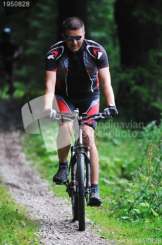 Image of mountain bike 