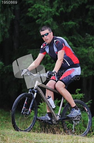 Image of mountain bike 