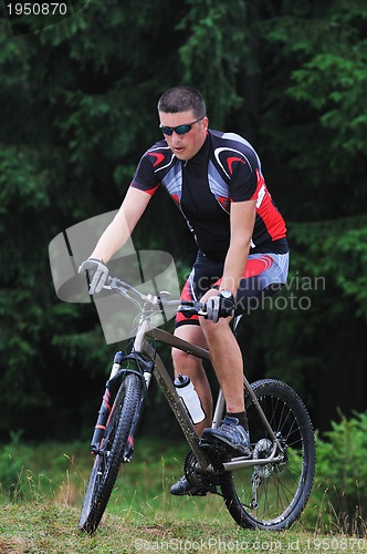 Image of mountain bike 